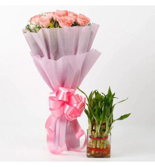 pink n green