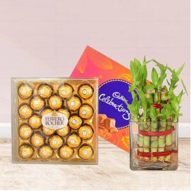 Ferrero Choco Celebration Ferrero Choco Celebration