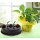 Plants Combos