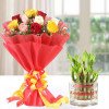 Mix Roses n Lucky Bamboo Plant
