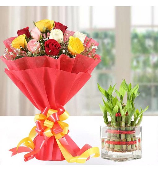 Mix Roses n Lucky Bamboo Plant