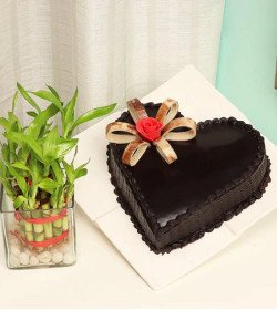 Plant N Heart Shaped Cake