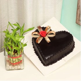 Plant N Heart Shaped Cake Plant N Heart Shaped Cake