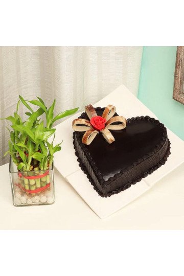 Plant N Heart Shaped Cake Plant N Heart Shaped Cake