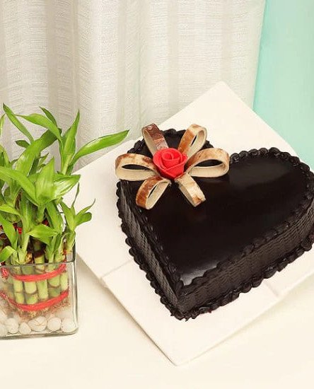 Plant N Heart Shaped Cake