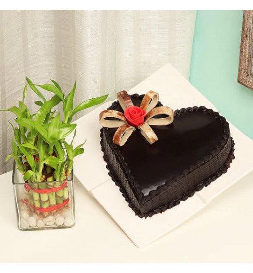 Plant N Heart Shaped Cake