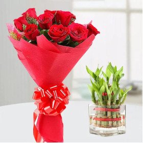 Red Roses n Lucky Bamboo Red Roses n Lucky Bamboo