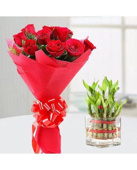 Red Roses n Lucky Bamboo 
