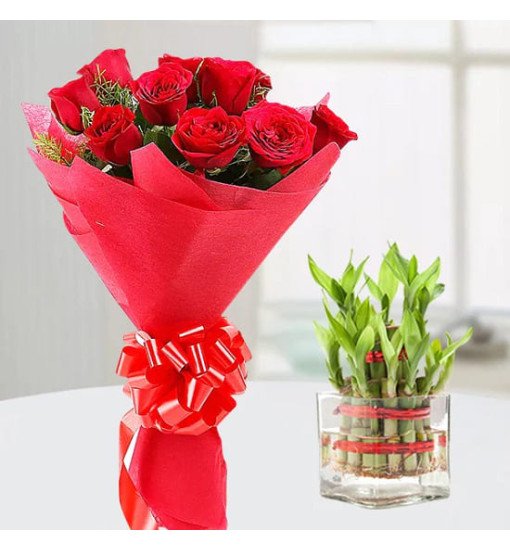 Red Roses n Lucky Bamboo 
