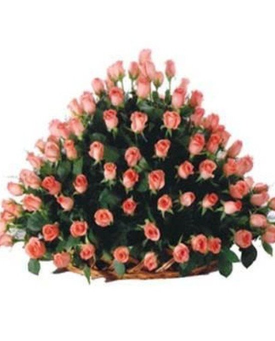 100 Pink Roses Basket
