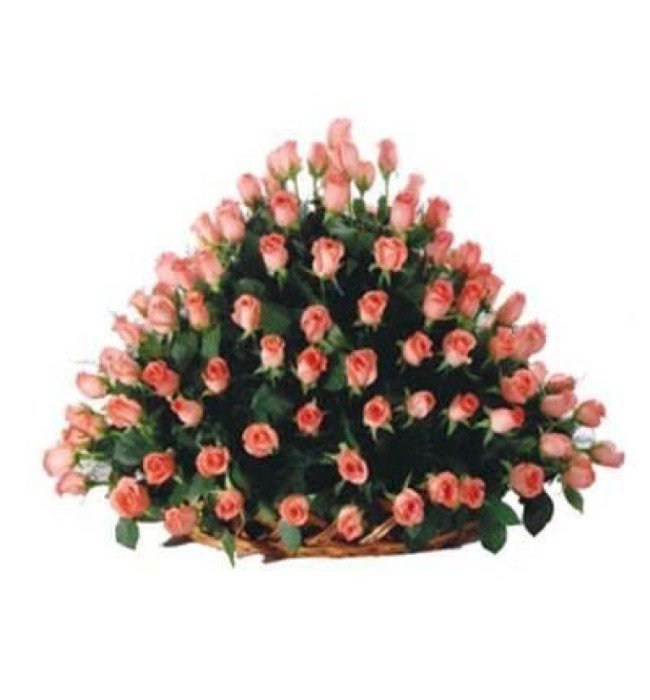 100 Pink Roses Basket