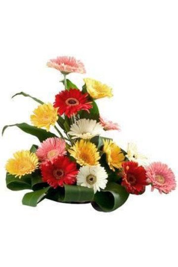 15 Mix Gerbera Basket