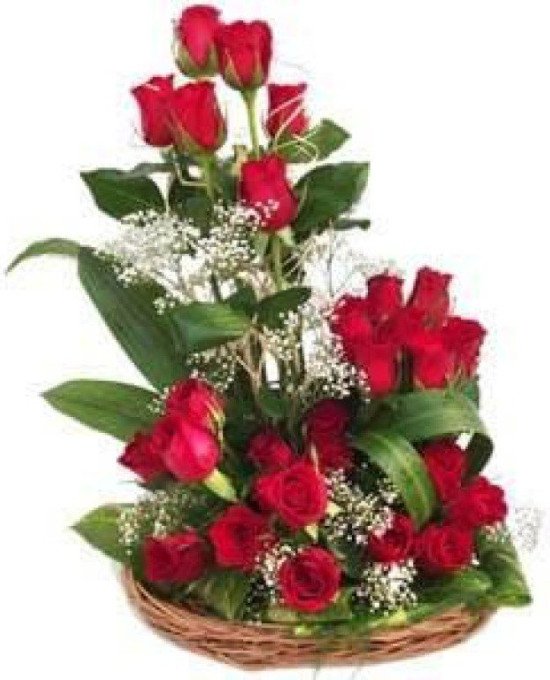 25 Roses basket