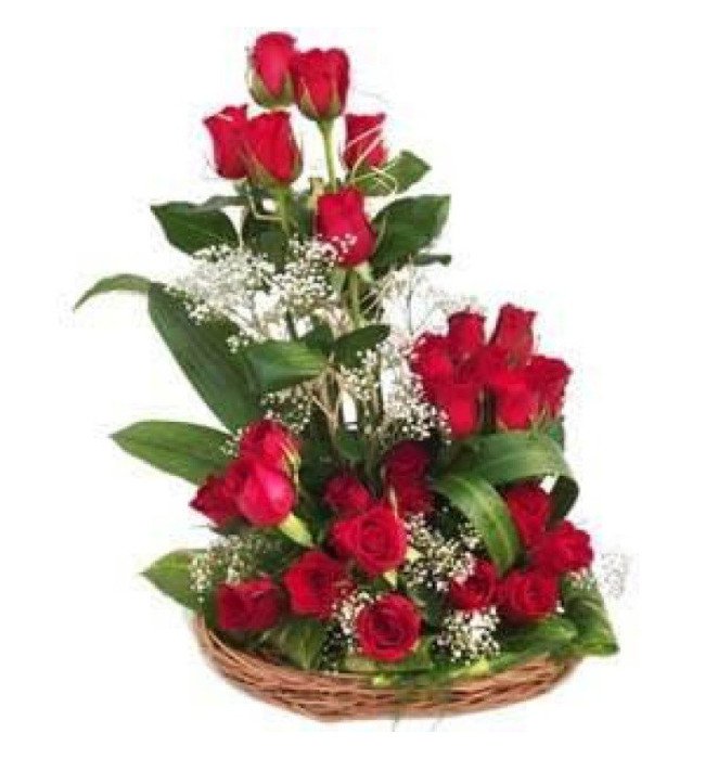 25 Roses basket