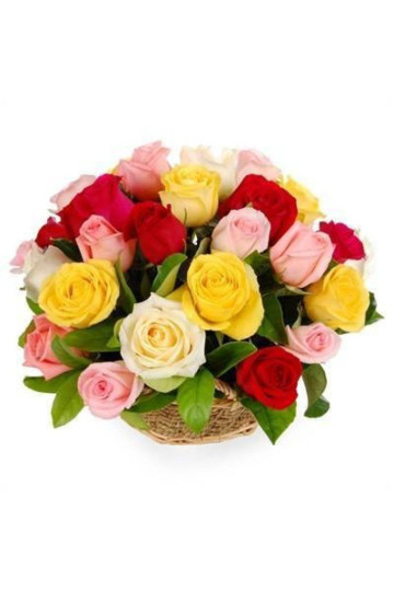 25 mix color roses Basket