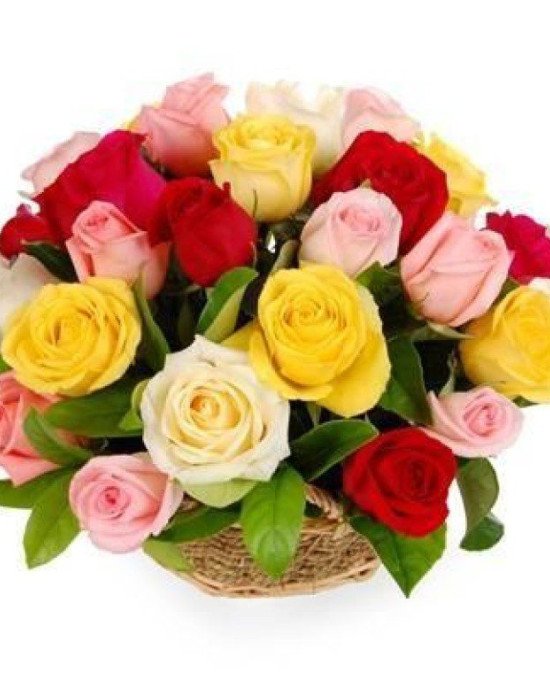 25 mix color roses Basket