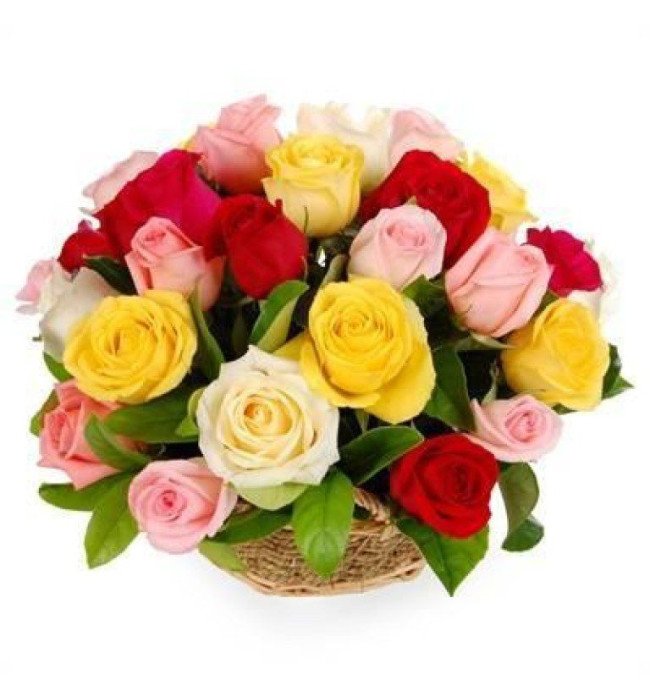 25 mix color roses Basket