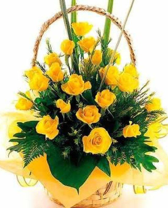 30 yellow roses round basket