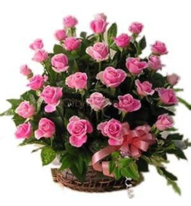 60 Pink Roses Basket