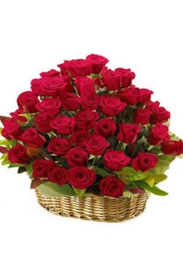 60 red roses round basket 60 red roses round basket