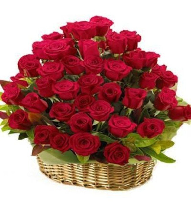 60 red roses round basket