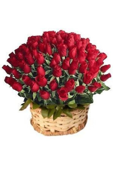 72 Red Roses Round Basket 72 Red Roses Round Basket