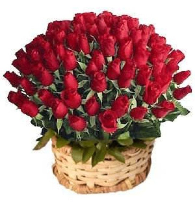 72 Red Roses Round Basket