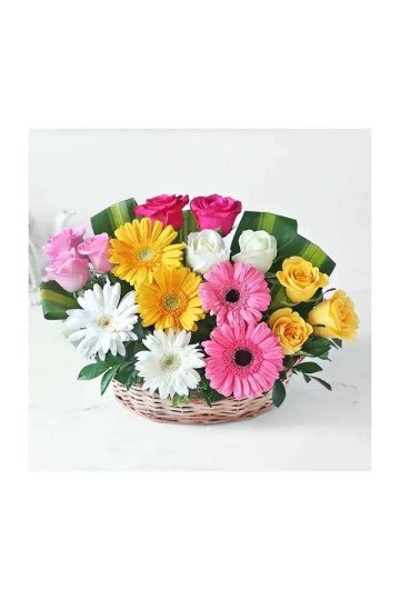 Beautiful Gerbera and Roses Flowers Beautiful Gerbera and Roses Flowers