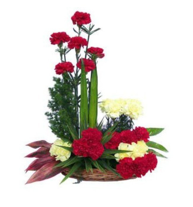 Designer Carnation Basket