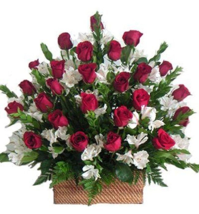 Elegant Red Roses Basket