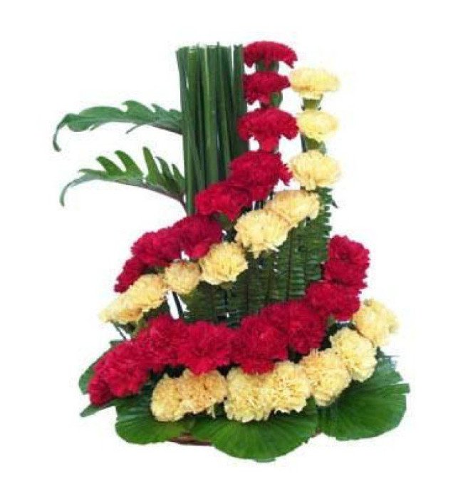 Exotic Carnations Arrangement