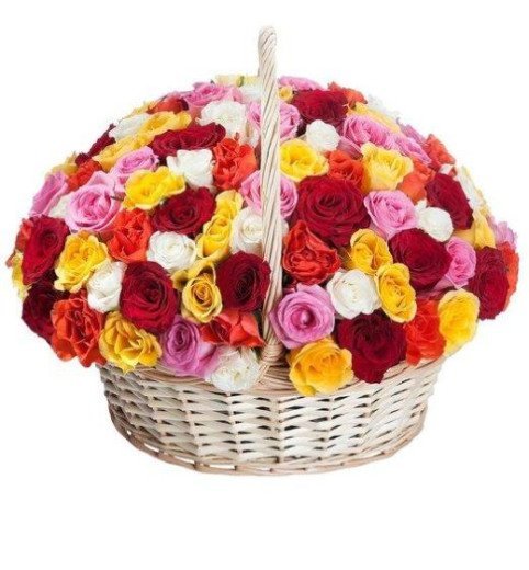 Garden Of Roses
