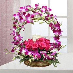 Happiness Bloosoms Happiness Bloosoms