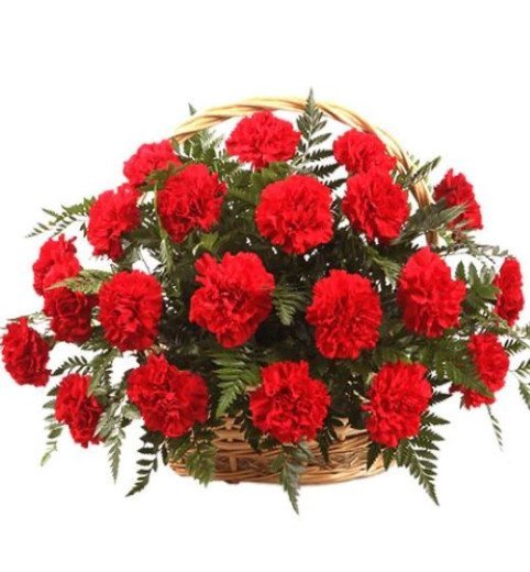 Love Garden
