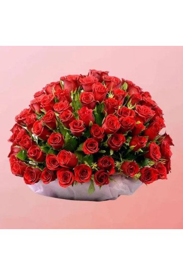 Mesmerizing Display of Red Roses with Greens in Basket Mesmerizing Display of Red Roses with Greens in Basket