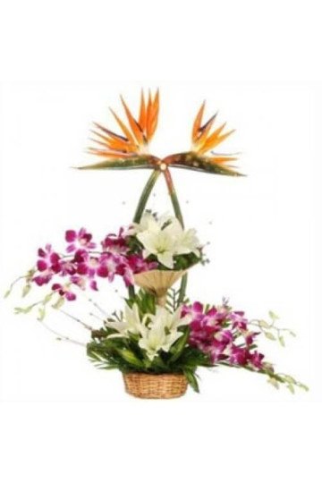 Mix Exotic Arrangement