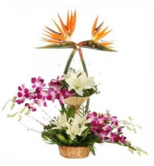 Mix Exotic Arrangement