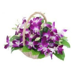 Orchids Basket Orchids Basket