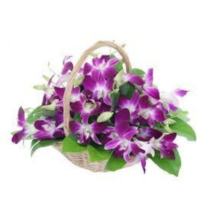 Orchids Basket