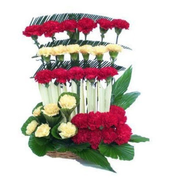 Red and Yellow Carnations Basket