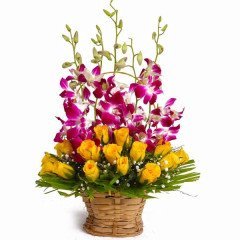 Flower Basket Arrangements