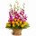Flower Basket Arrangements
