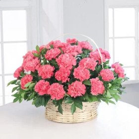 Sweet Pink Sweet Pink