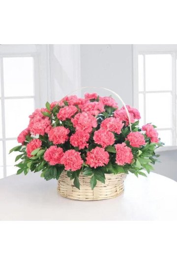 Sweet Pink 