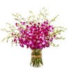 20 Orchids Vase Arrangement