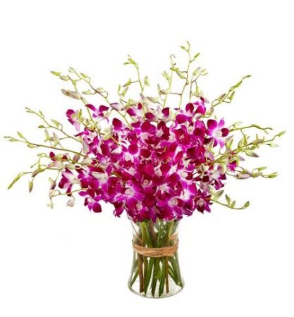 20 Orchids Vase Arrangement