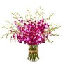 20 Orchids Vase Arrangement
