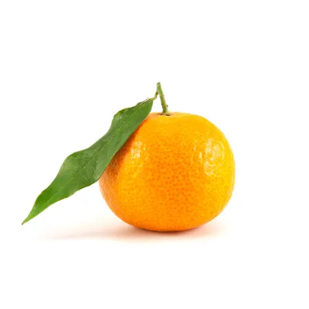 Australian Mini Mandarin Citrus Orange