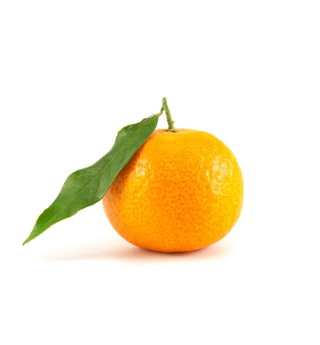 Australian Mini Mandarin Citrus Orange