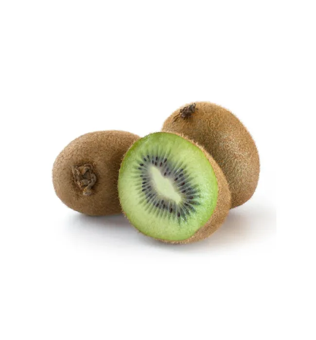 Chilean Emerald Green Kiwi